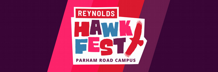 Hawk Fest Banner